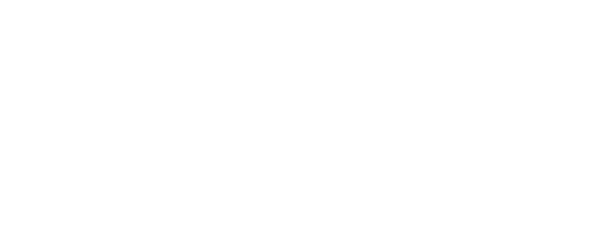 AntonEverest logo